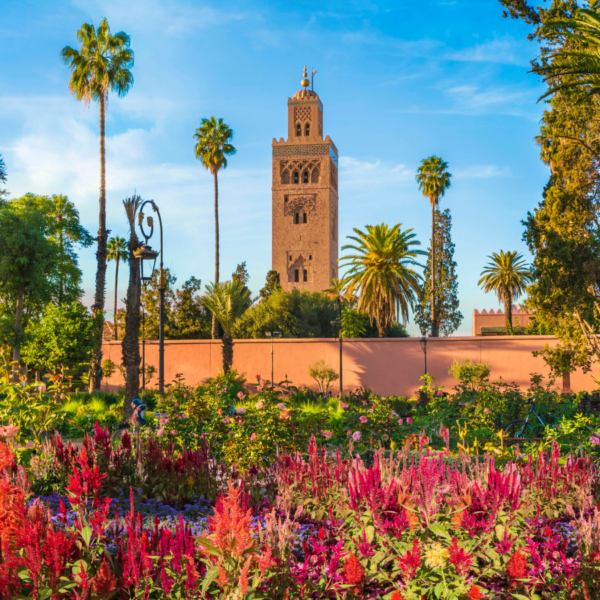 Top 10 Must-See Places in Morocco for First-Time Visitors