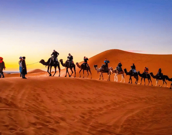 Moroccan coastal town Essaouira tour 