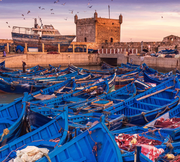 Experience the Magic on Essaouira Day Tour from Marrakech