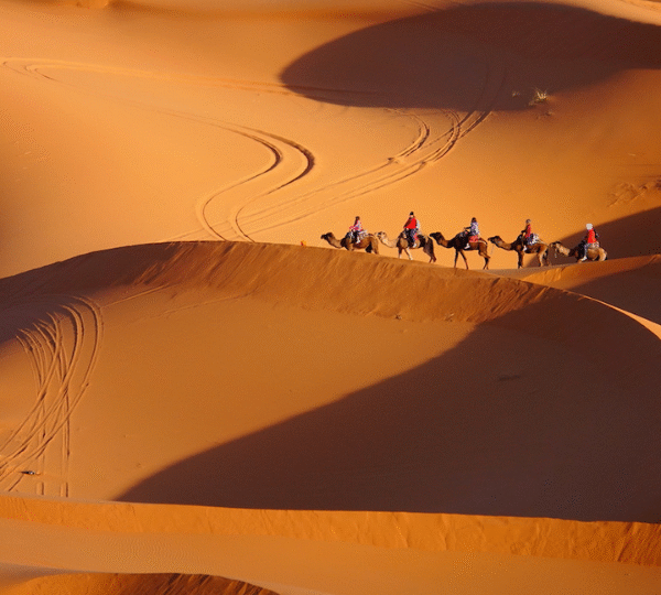 Desert tour Fes to Marrakech