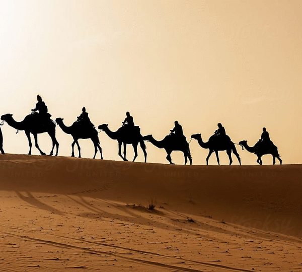 Camel trek in Merzouga