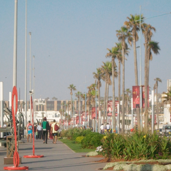 things to do in Casablanca
