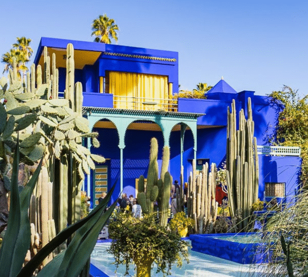 Marrakech private tour luxury vehicle
