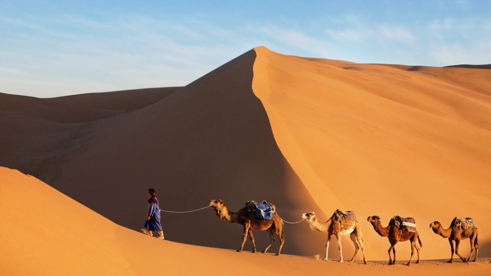Sahara Desert 