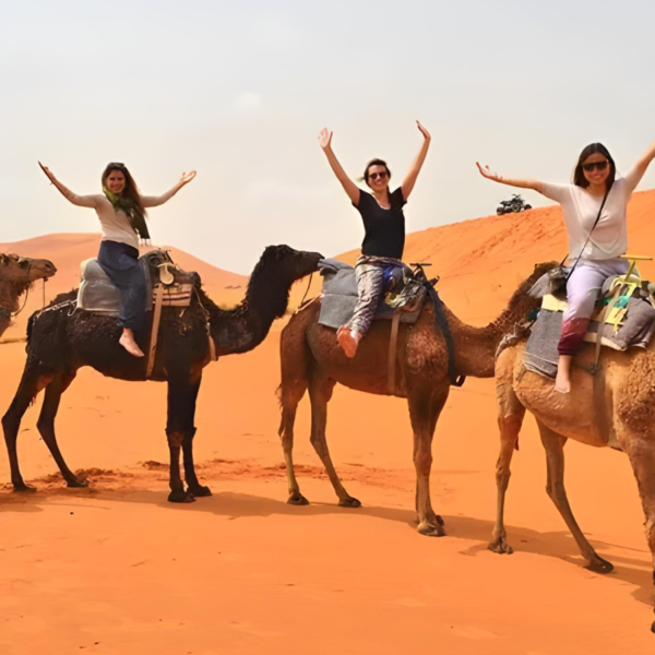 10 Days Tour from Casablanca | Private 10 Day Morocco Tour