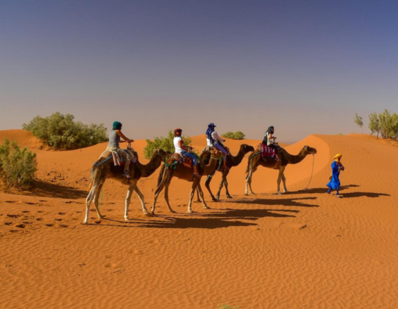 2 Day Desert Tour from Marrakech to Zagora