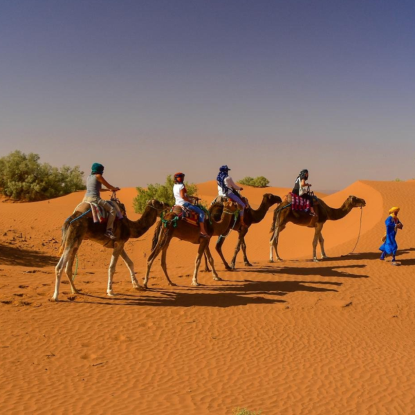 2 Day Desert Tour from Marrakech to Zagora