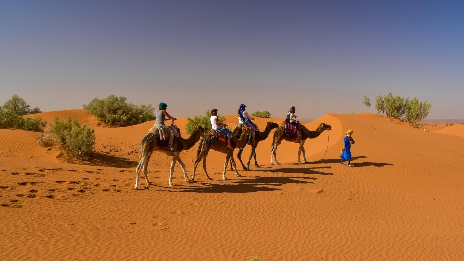 2 Day Desert Tour from Marrakech to Zagora 2 Camel trekking in Zagora during 2 Day Desert Tour from Marrakech